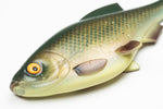 The Bream Gen2 - Sursutaren