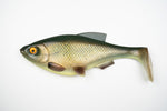 The Bream Gen2 - Sursutaren